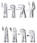 Extracting Forceps